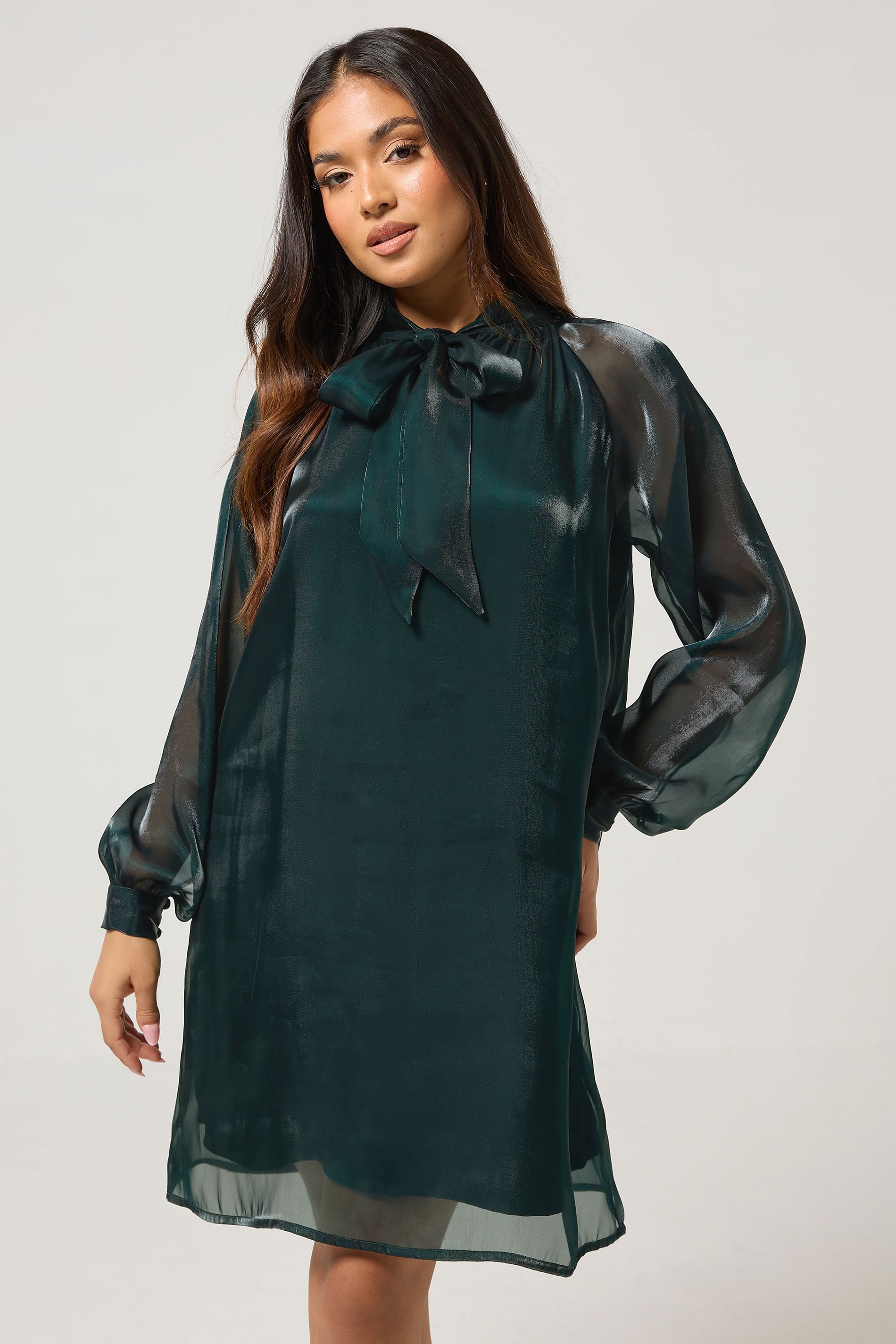 PixieGirl Petite Women's Dark Green Organza Tie Neck Dress | PixieGirl 1