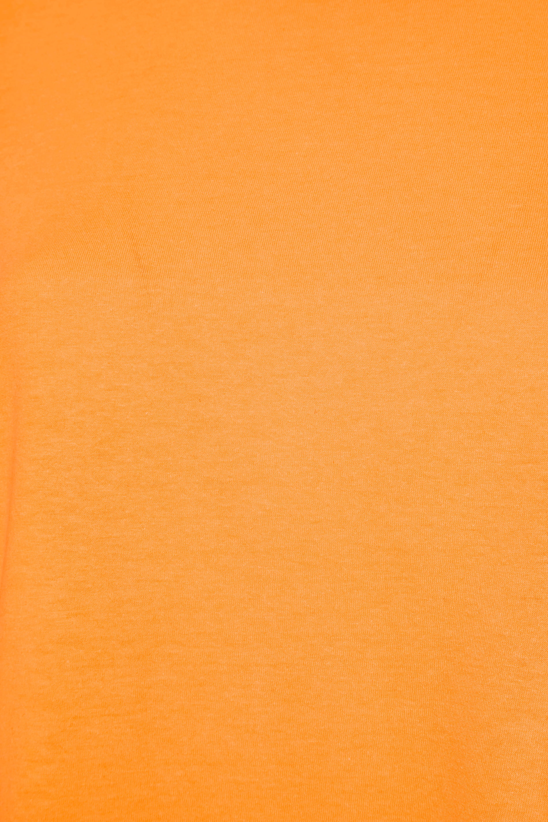 Grande taille  Tops Grande taille  T-Shirts Basiques & Débardeurs | T-Shirt Orange en Jersey - GO88620