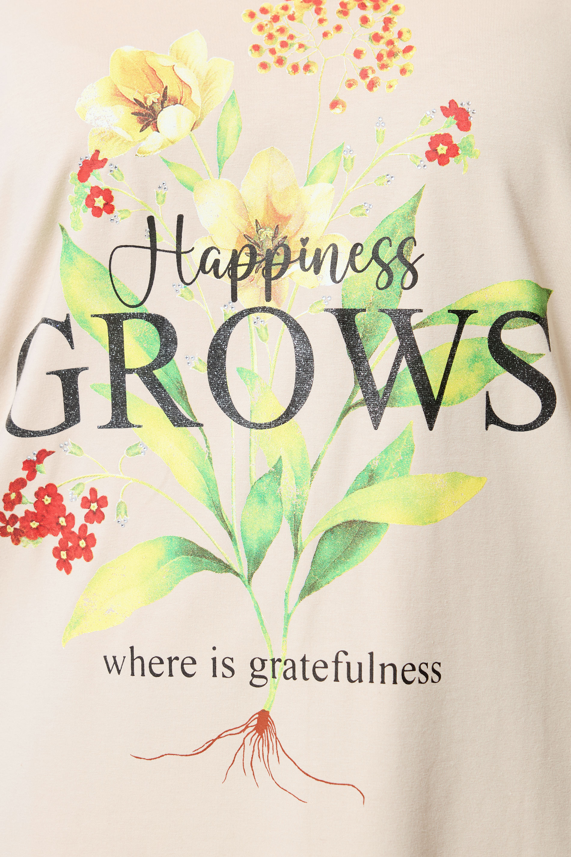 YOURS Plus Size Natural Brown 'Happiness Grows' T-Shirt | Yours Clothing 4