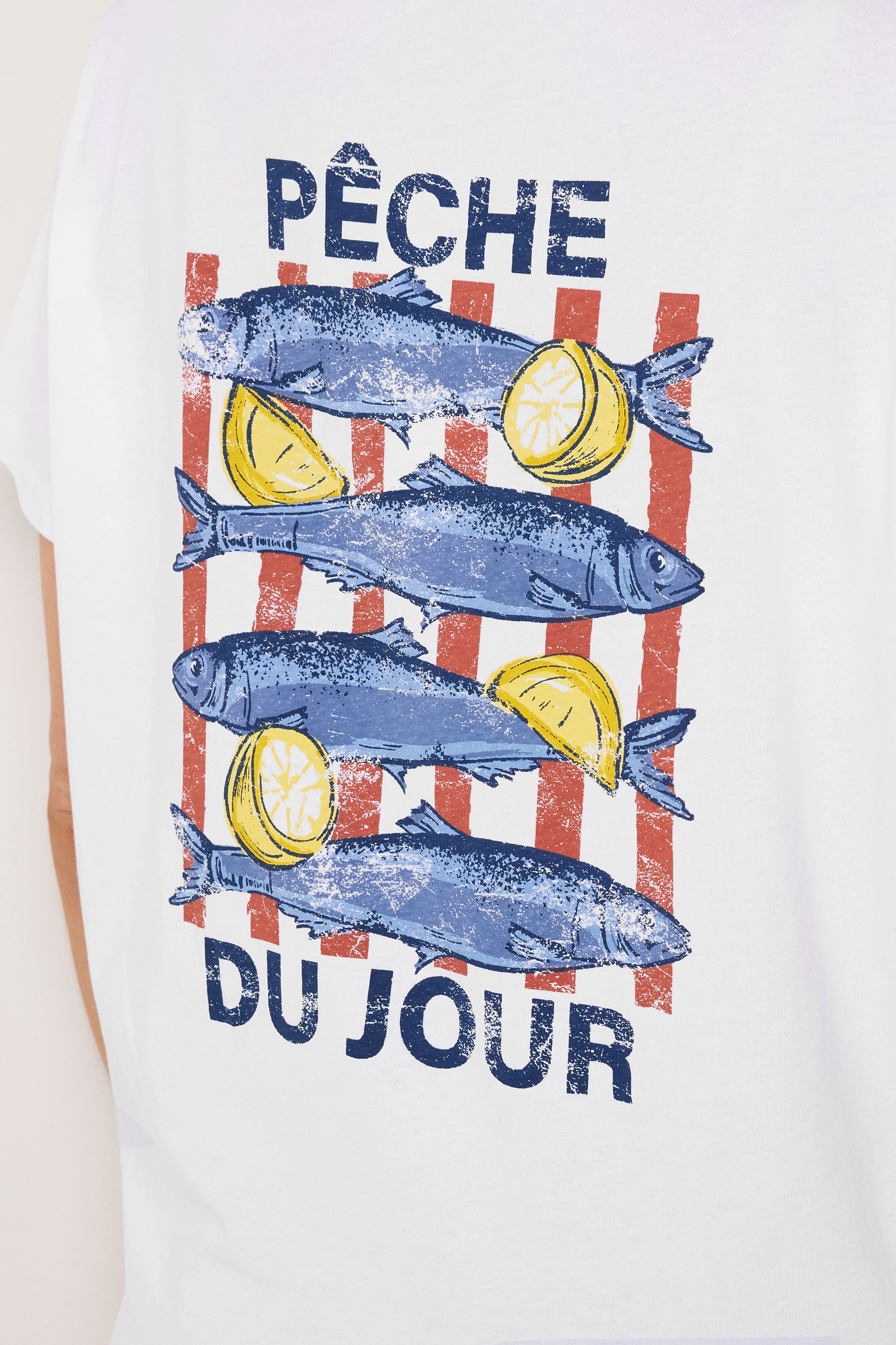 LTS Tall Women's White Sardine Graphic Cotton Oversized T-Shirt | Long Tall Sally 4