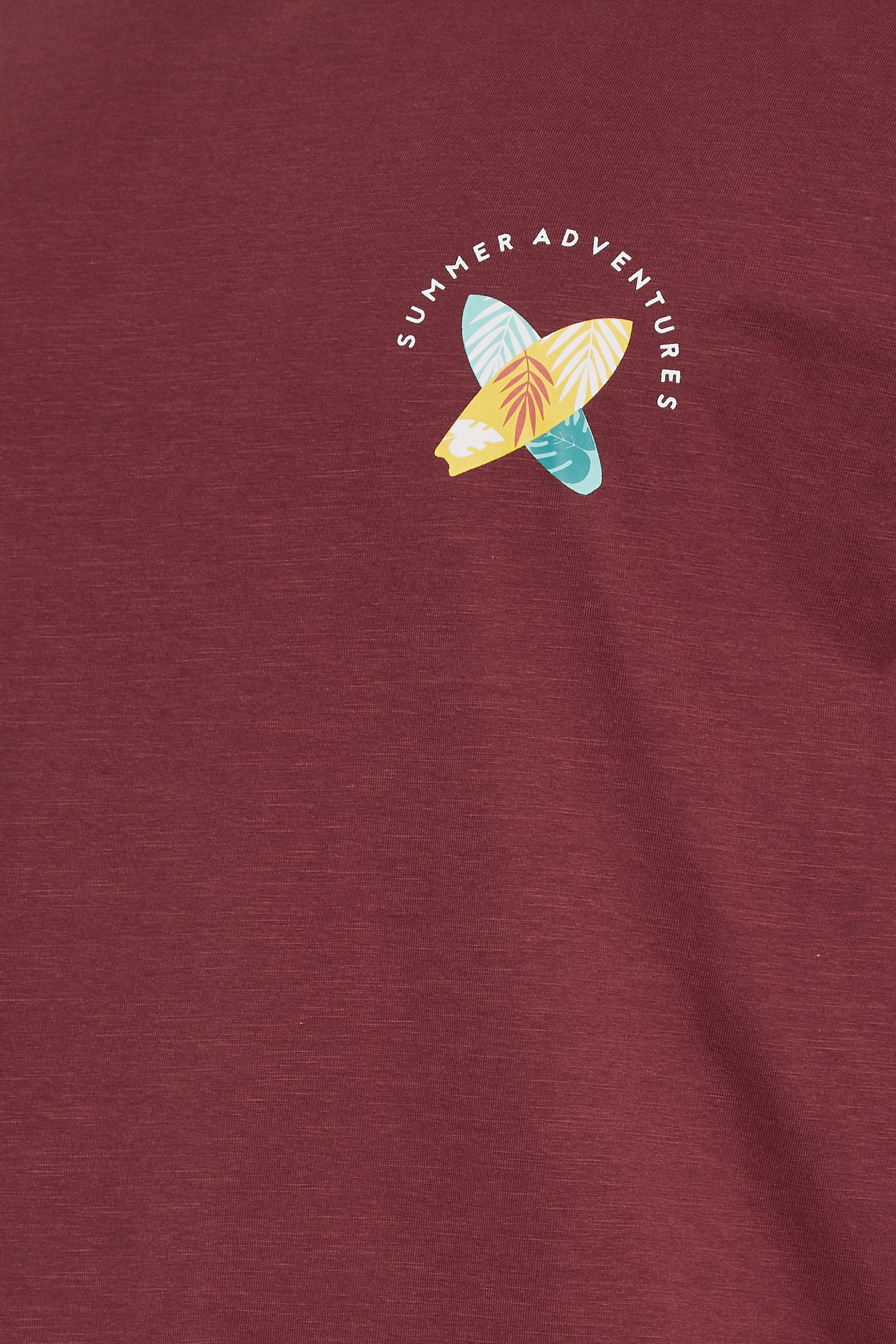 KAM Big & Tall Burgundy Red 'Summer Adventure' Print T-Shirt | BadRhino 3