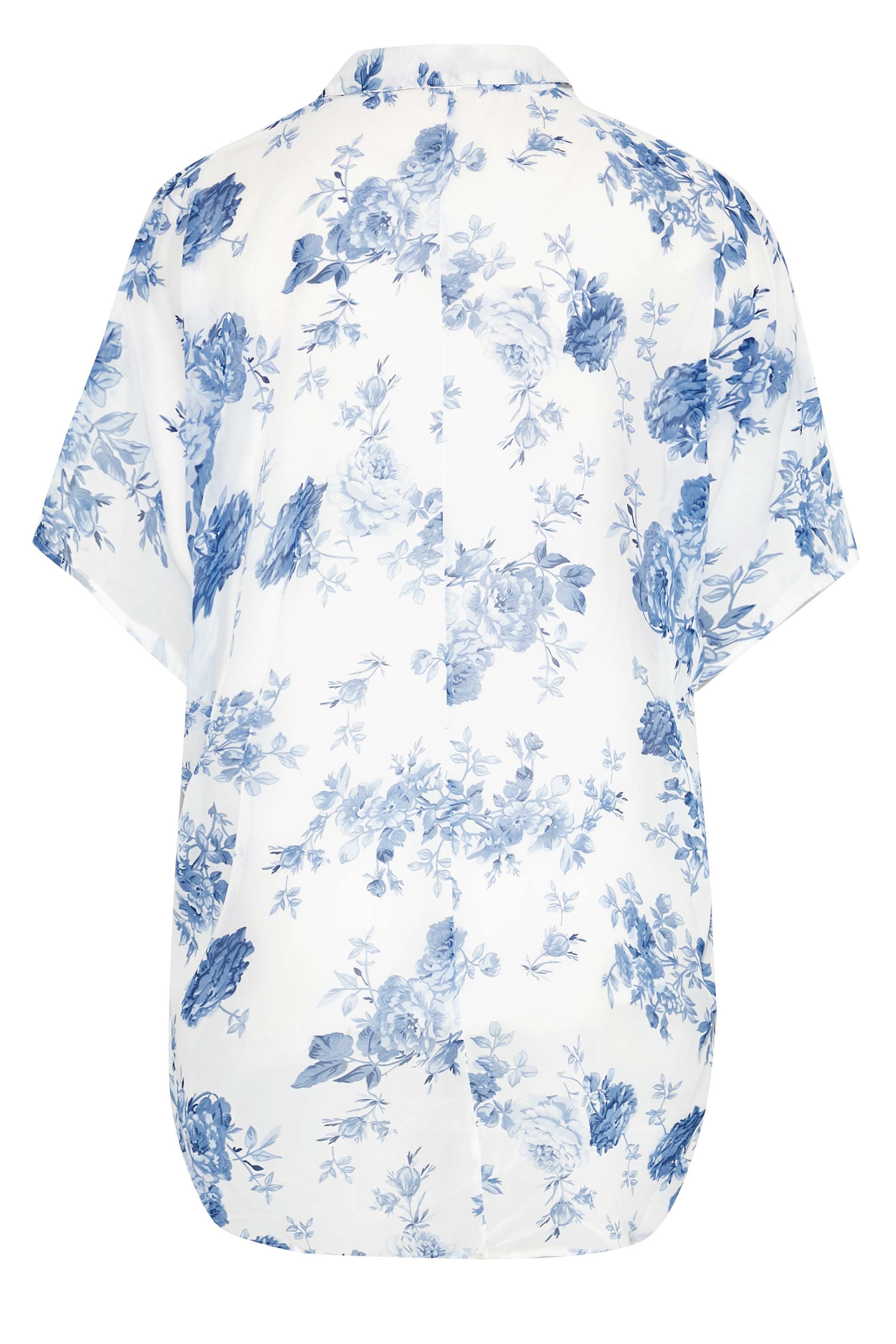 Grande taille  Blouses & Chemisiers Grande taille  Chemisiers | Curve Blue Floral Print Batwing Shirt - ZO73044