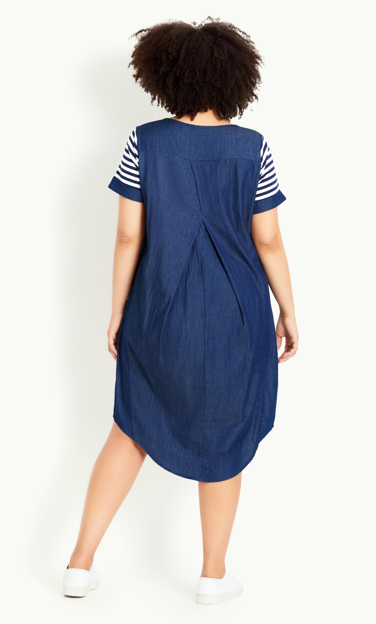 Sunshine Navy Stripe Dress 2