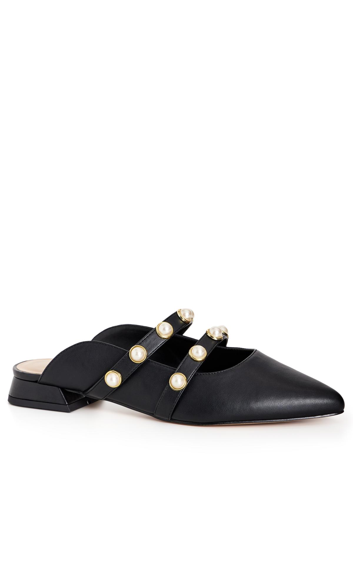 Quinn Black Flat Shoe  1