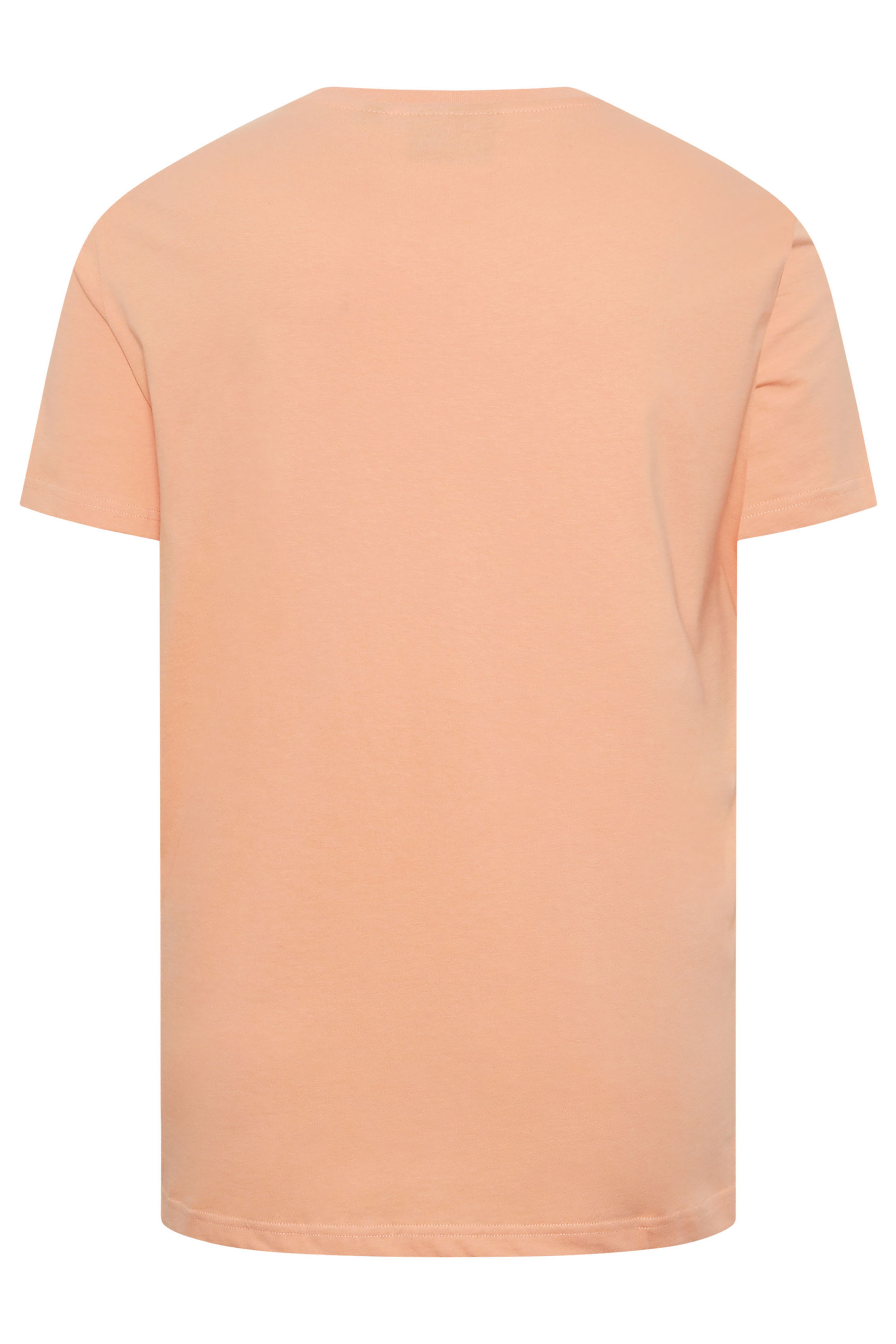LYLE & SCOTT Big & Tall Terracotta Orange Core T-Shirt | BadRhino 4