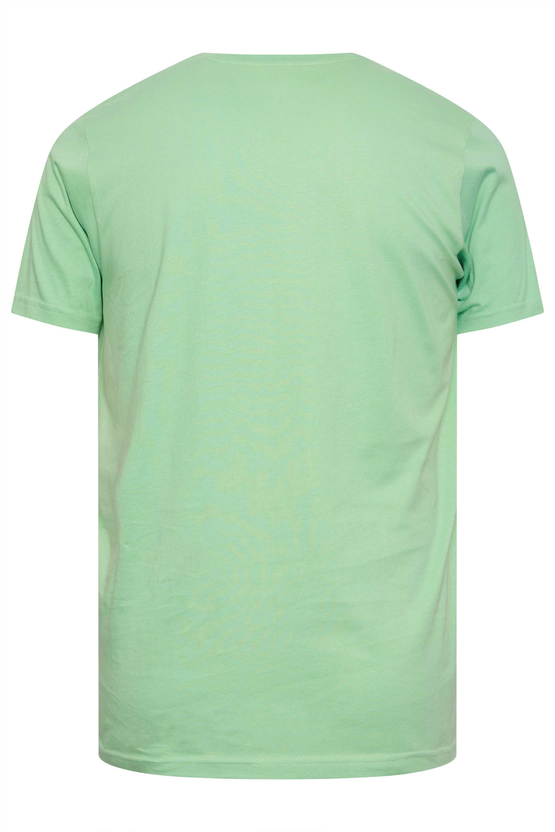 BadRhino Big & Tall Hemlock Green T-Shirt | BadRhino 3