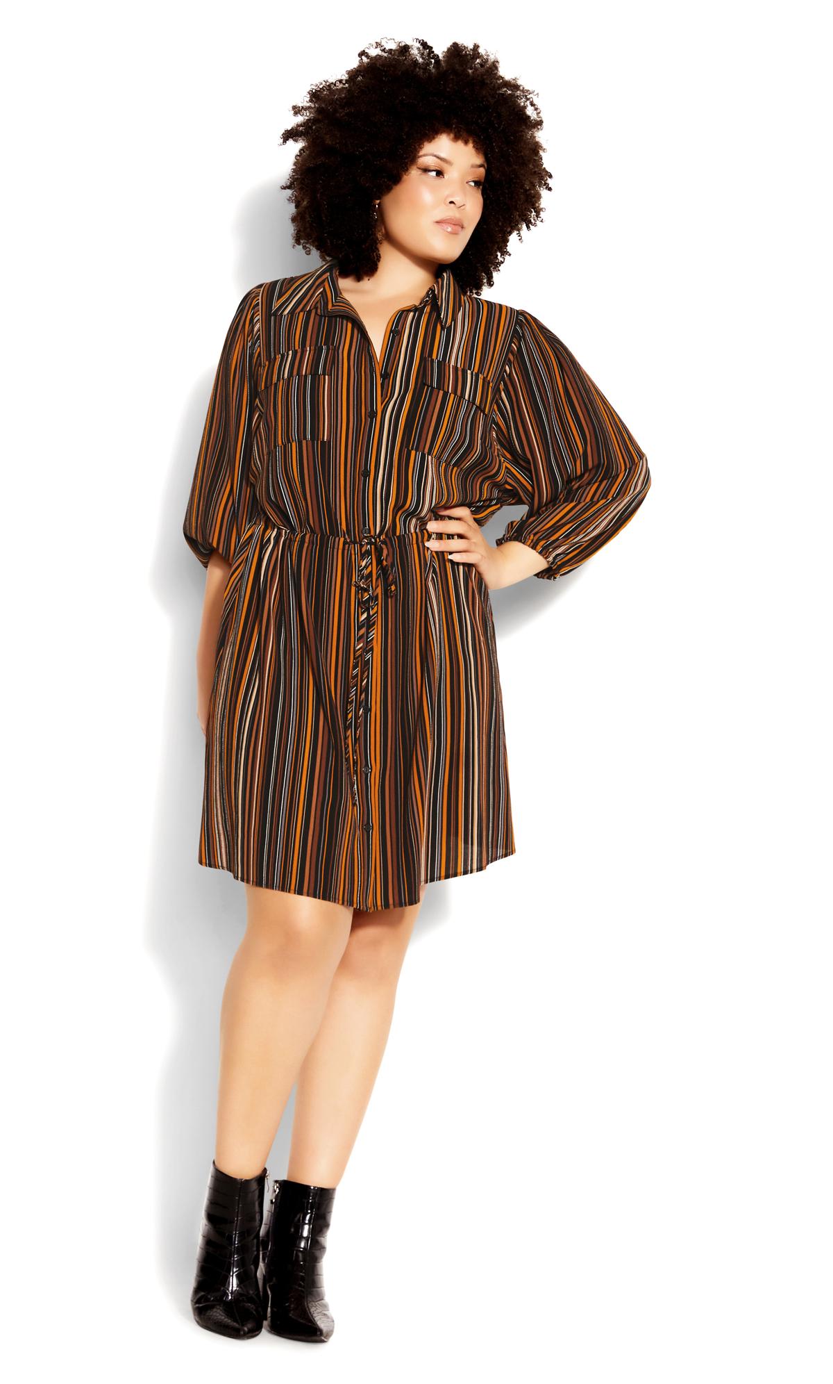 Brown Stripe Black Mini Shirt Dress 3