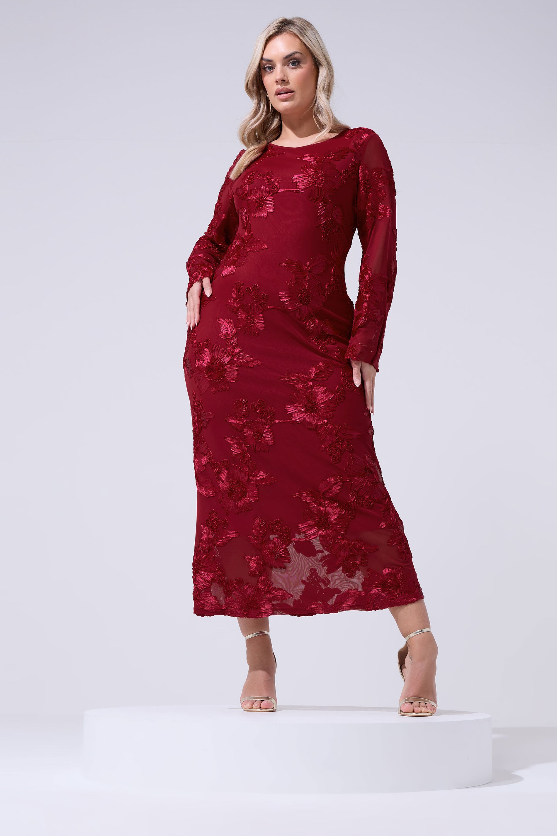 YOURS LONDON Plus Size Red Floral Applique Maxi Dress | Yours Clothing 3
