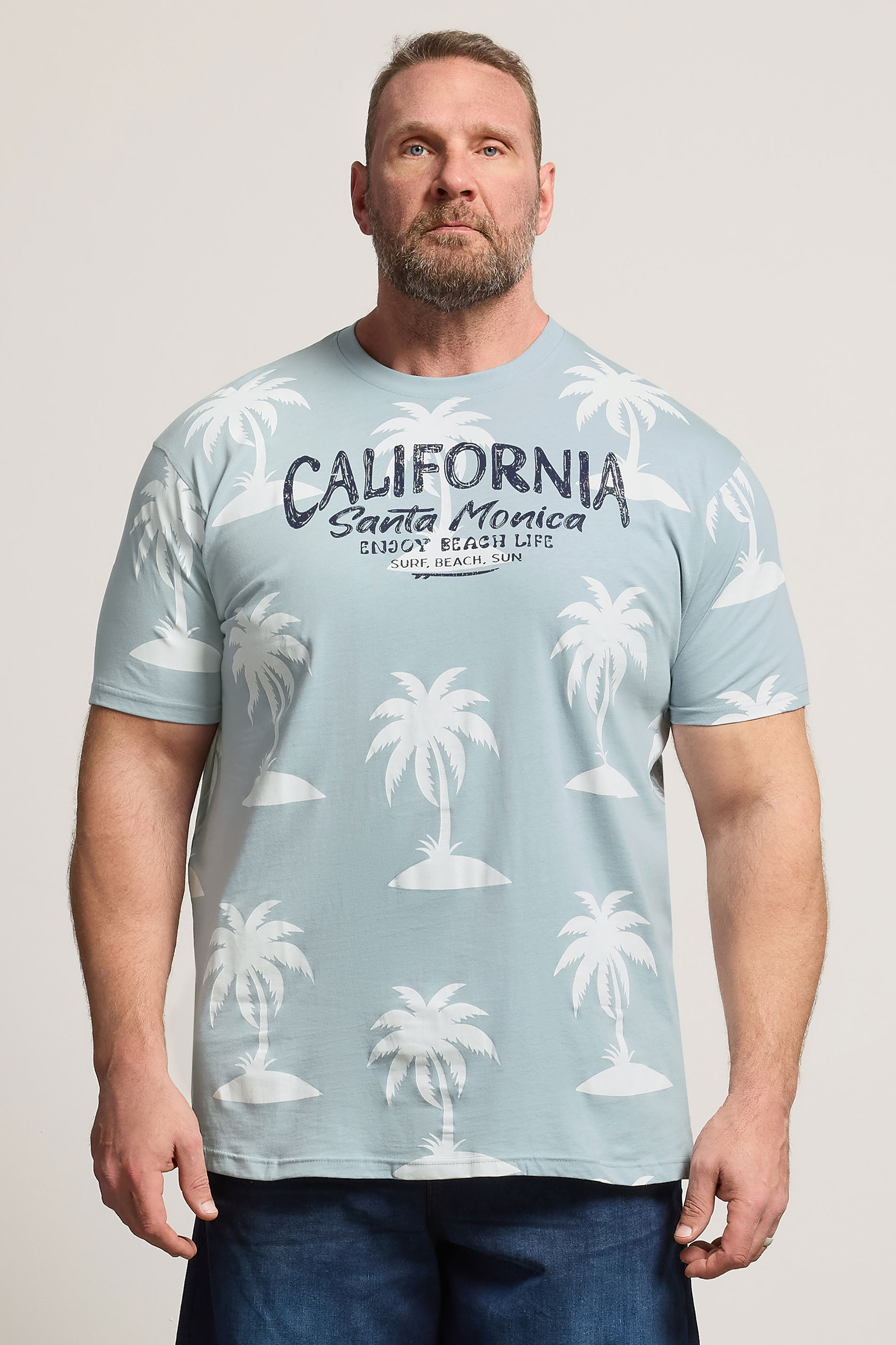 KAM Big & Tall Light Blue Palm Print T-Shirt | BadRhino 3