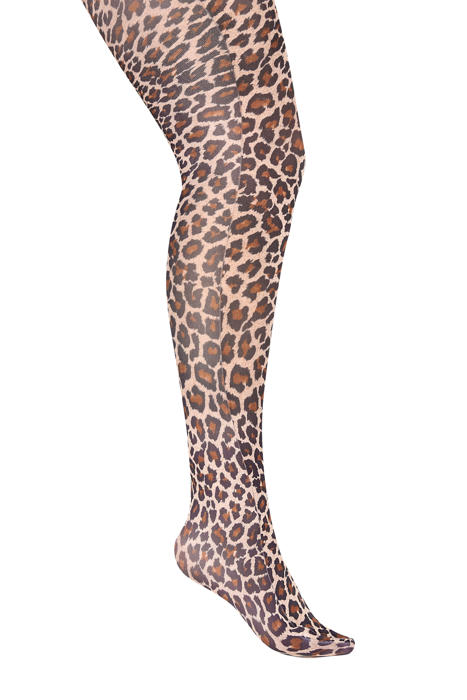 Brown Leopard Print Tights | Yours Clothing
