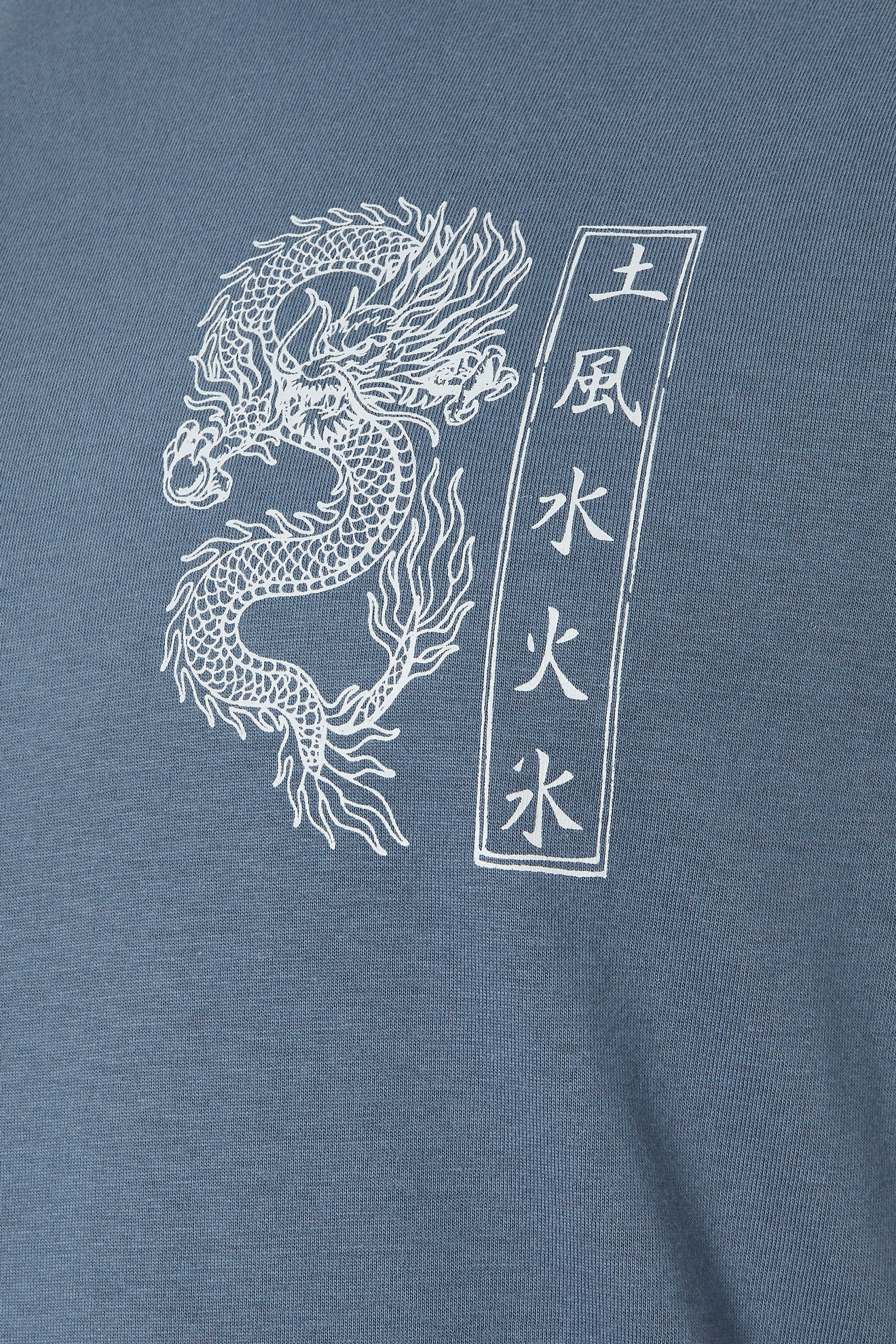 BadRhino Big & Tall Blue Dragon Graphic T-Shirt | BadRhino 10