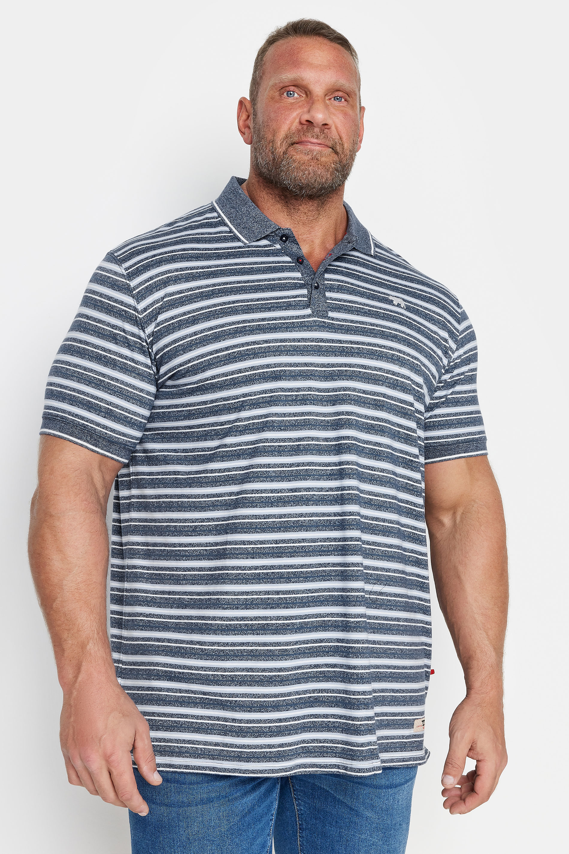 D555 Big & Tall Grey Stripe Polo Shirt | BadRhino 1