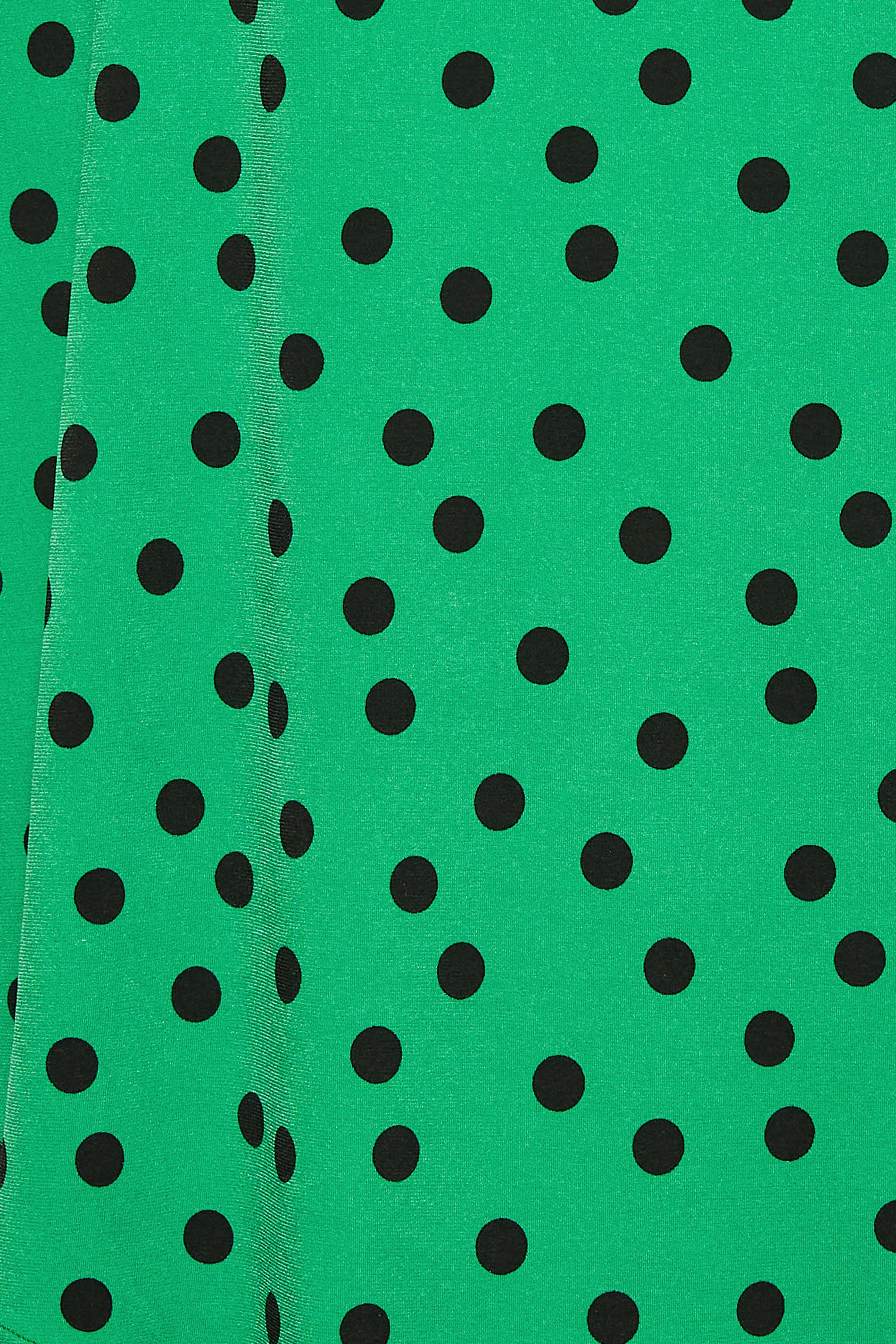 Dark Green Polka Dot 