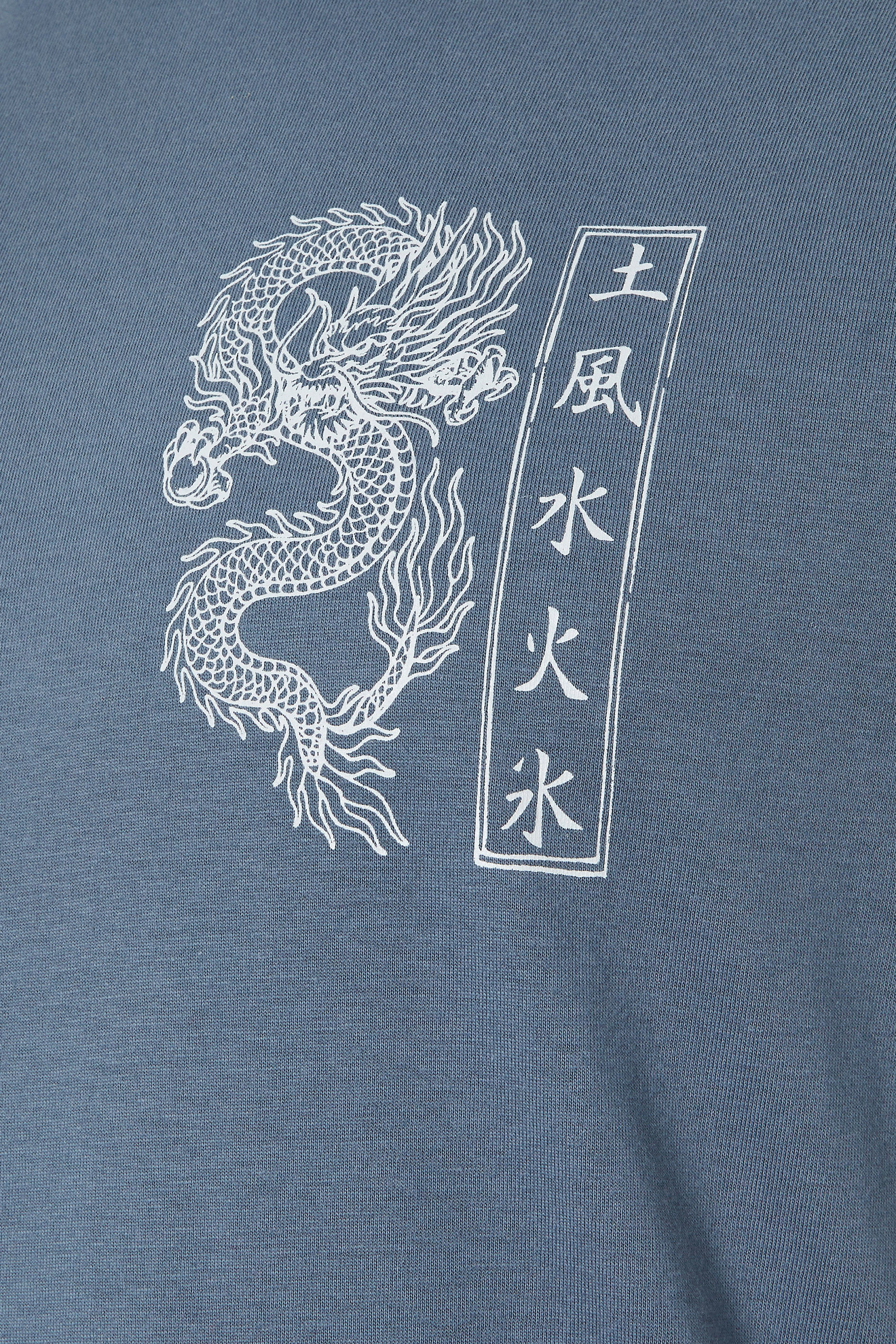 BadRhino Big & Tall Blue Extra Long Dragon Graphic T-Shirt | BadRhino 8