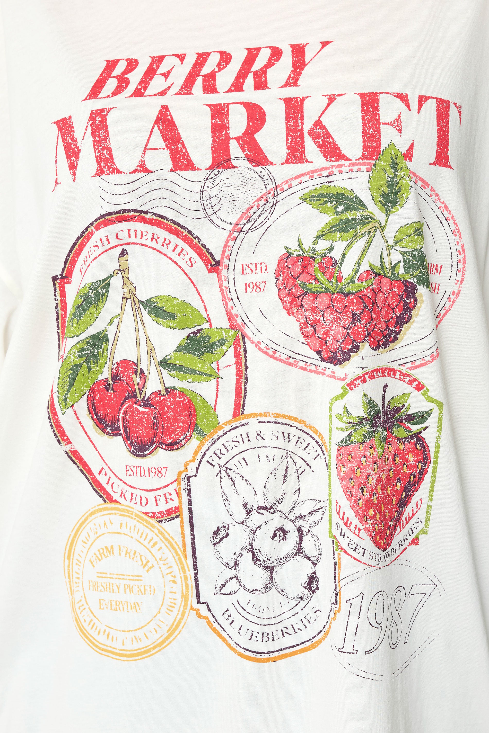 YOURS Plus Size Ivory White 'Berry Market' Graphic T-Shirt | Yours Clothing 4