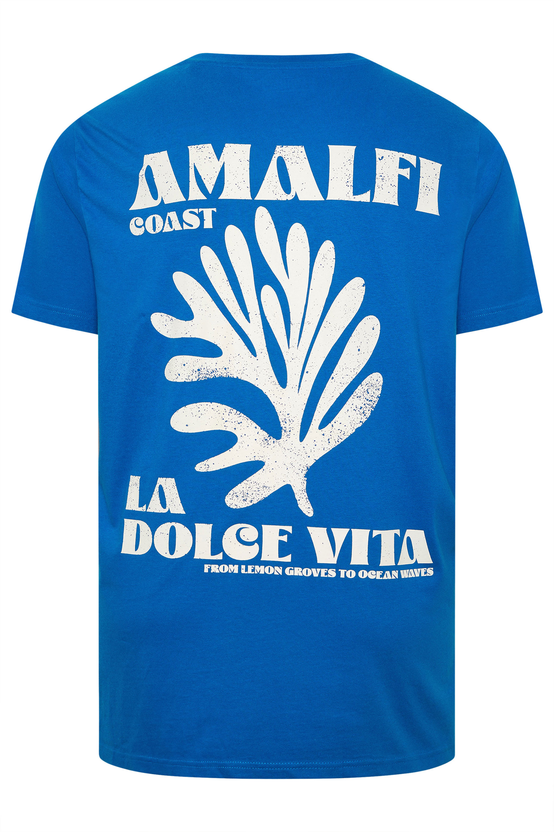 BadRhino Big & Tall Blue Amalfi Coast Graphic T-Shirt | BadRhino 9