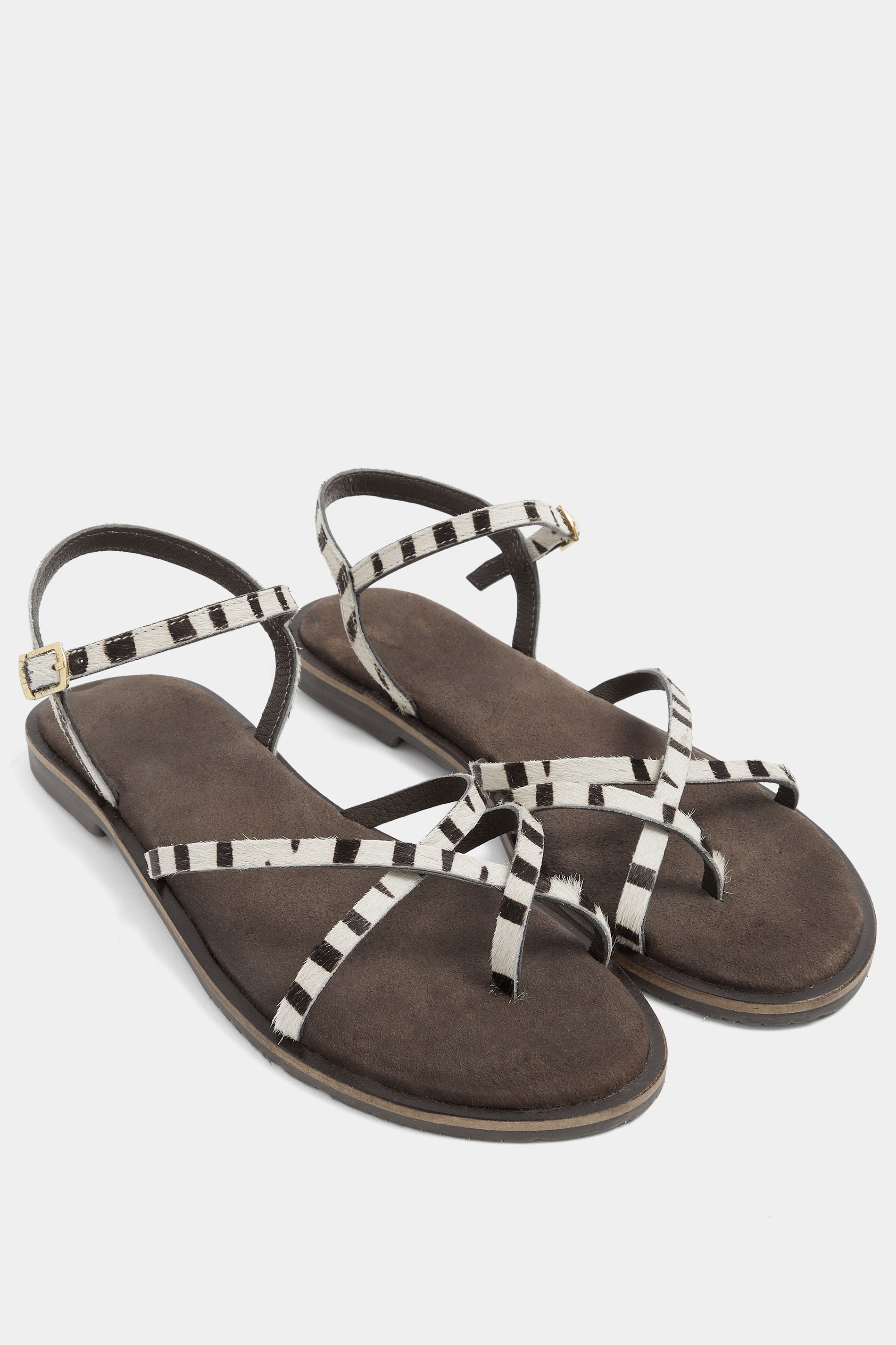 LTS Brown Zebra Print Cross Strap Sandals In a Standard Fit | Long Tall Sally 3