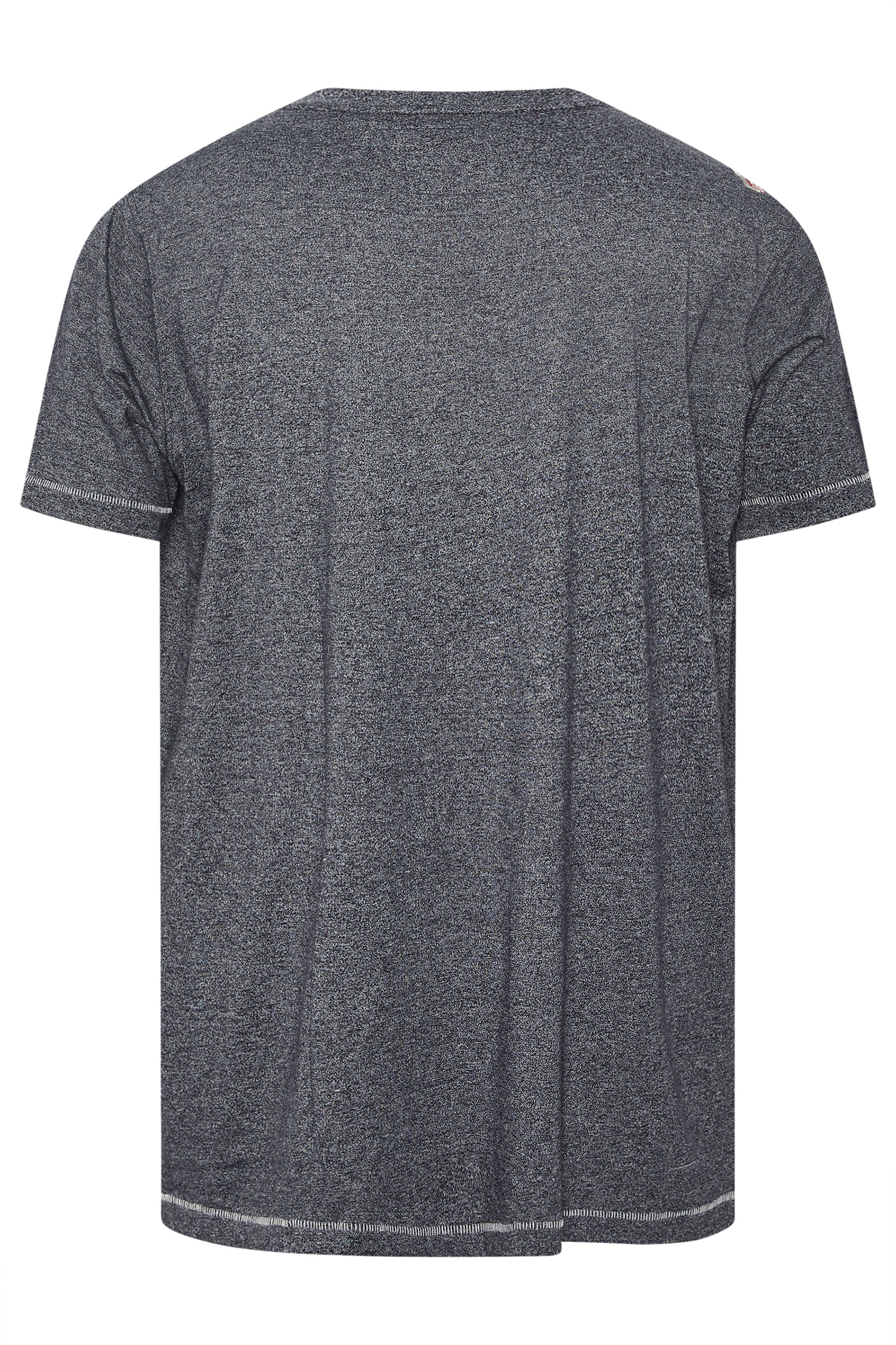 D555 Big & Tall Grey Beach Graphic T-Shirt | BadRhino 4