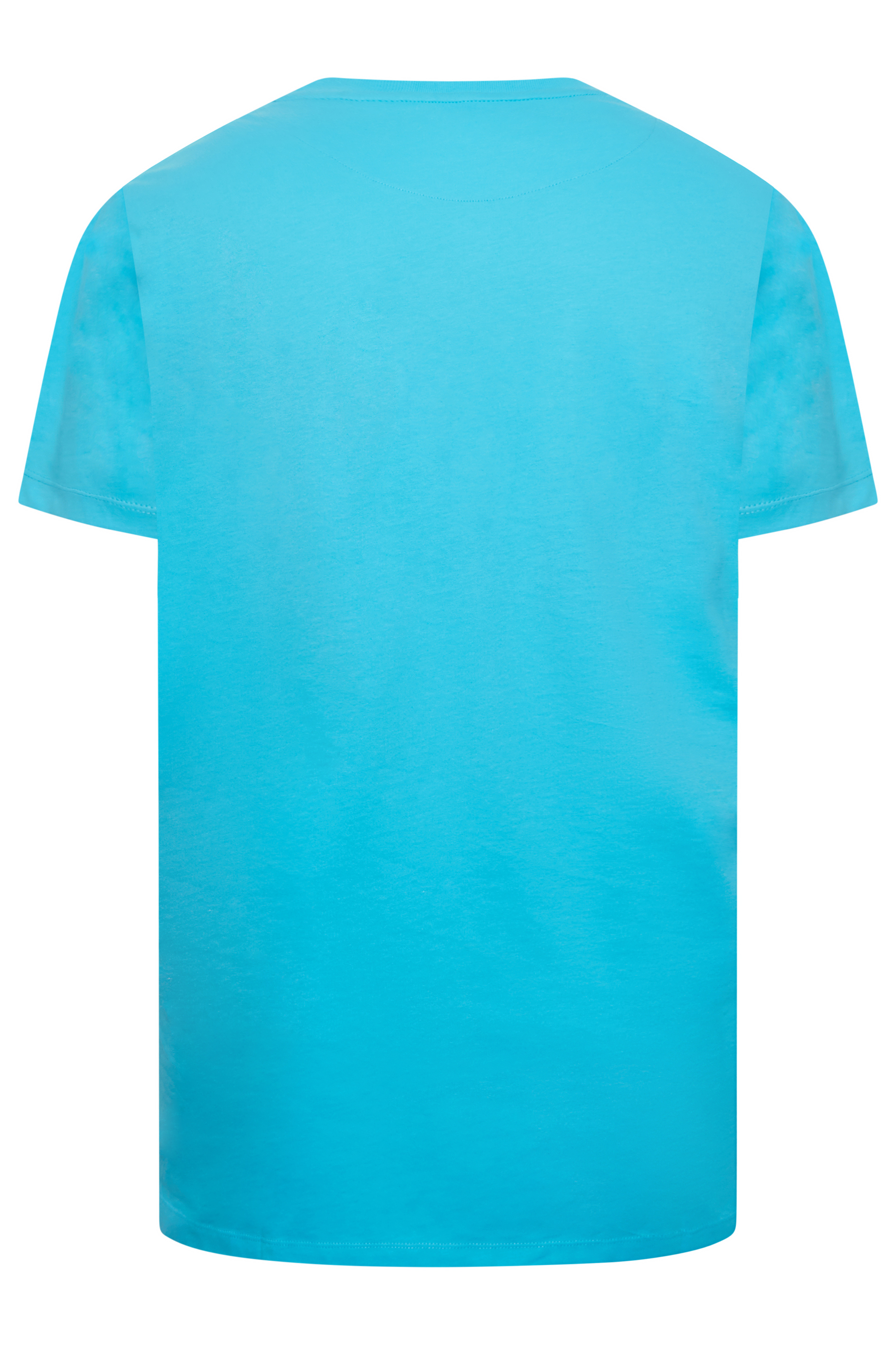 U.S. POLO ASSN. Big & Tall Light Blue Authentic T-Shirt | BadRhino 3