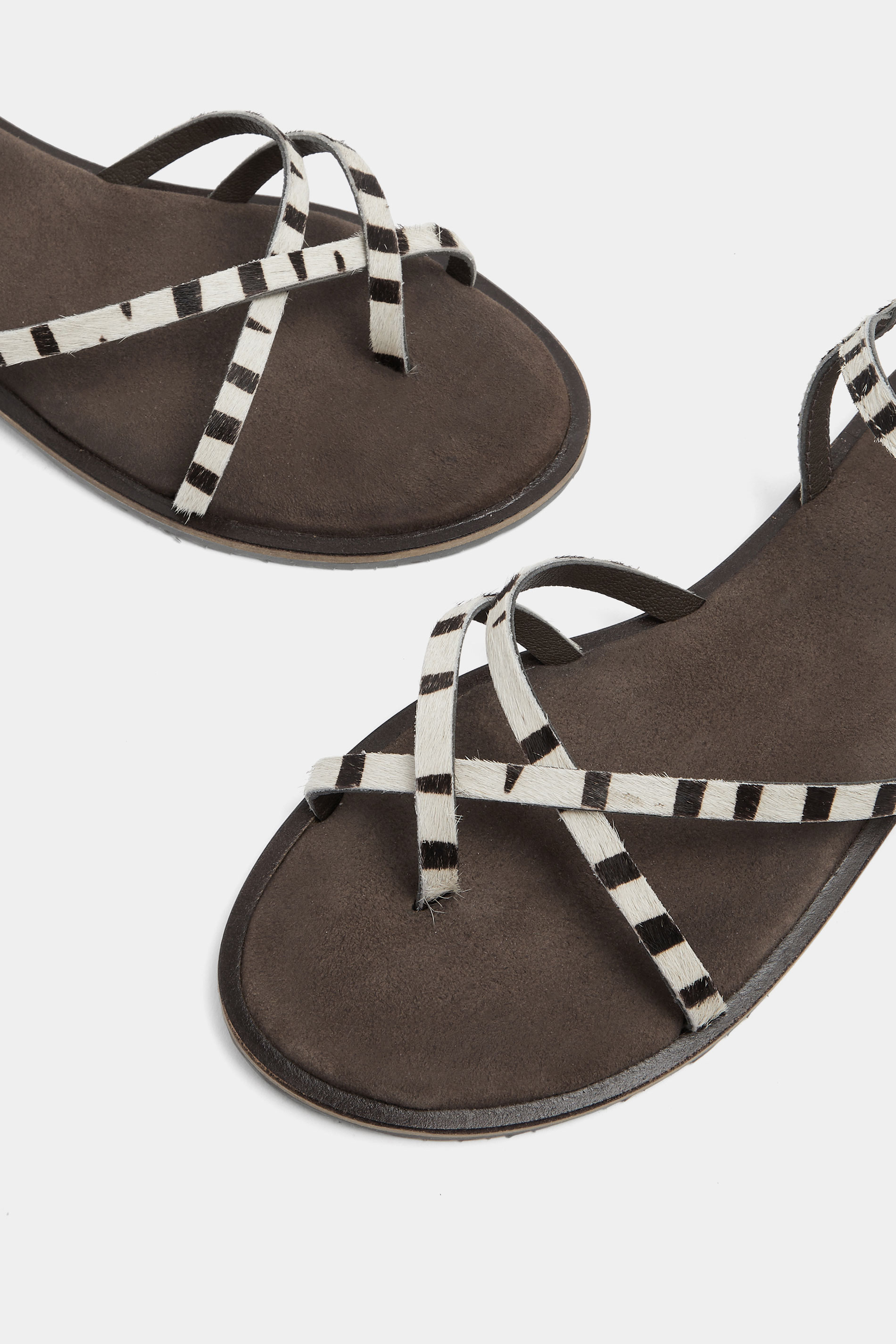 LTS Brown Zebra Print Cross Strap Sandals In a Standard Fit | Long Tall Sally 5