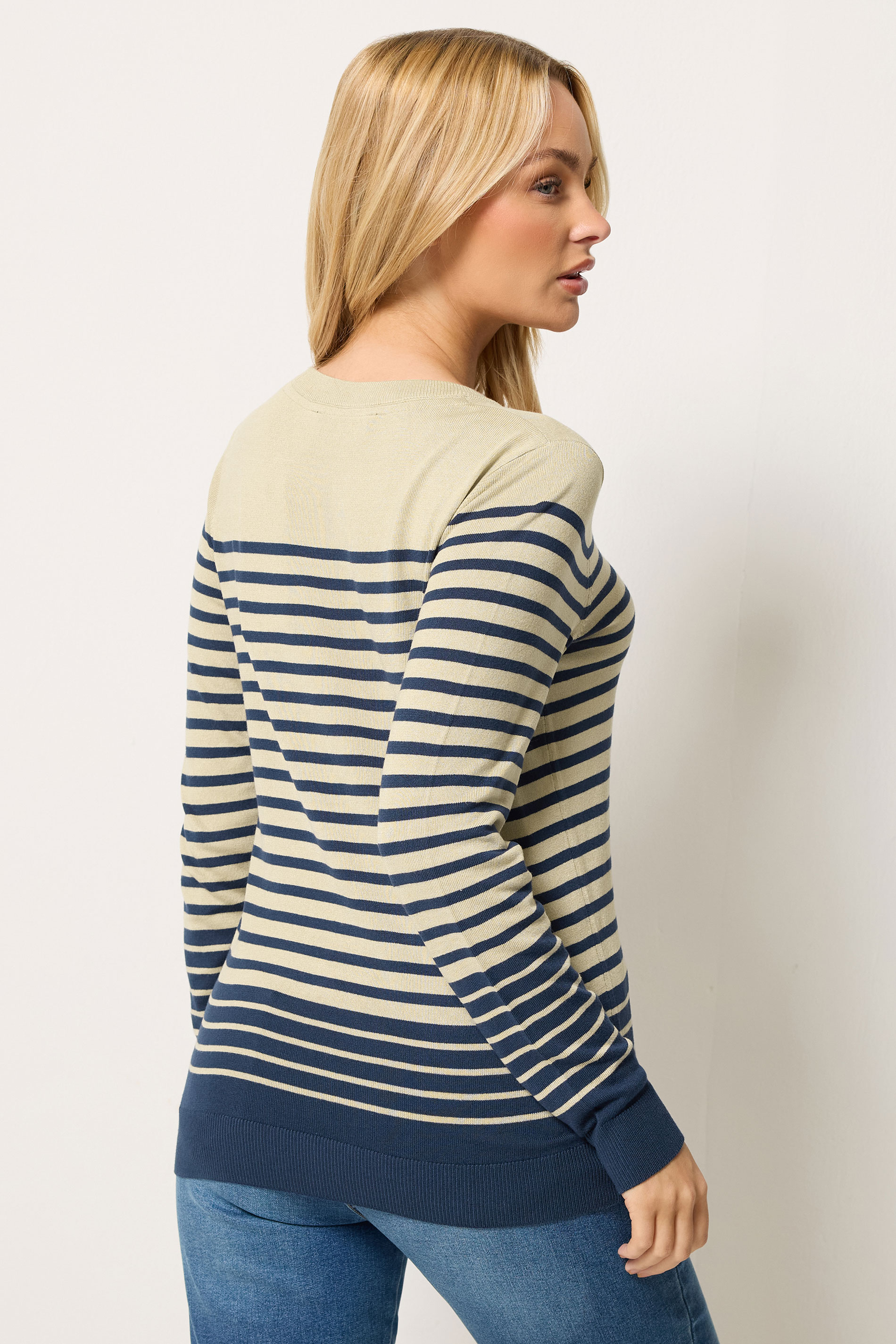 M&Co Navy Blue and Natural Brown Stripe Jumper | M&Co 2