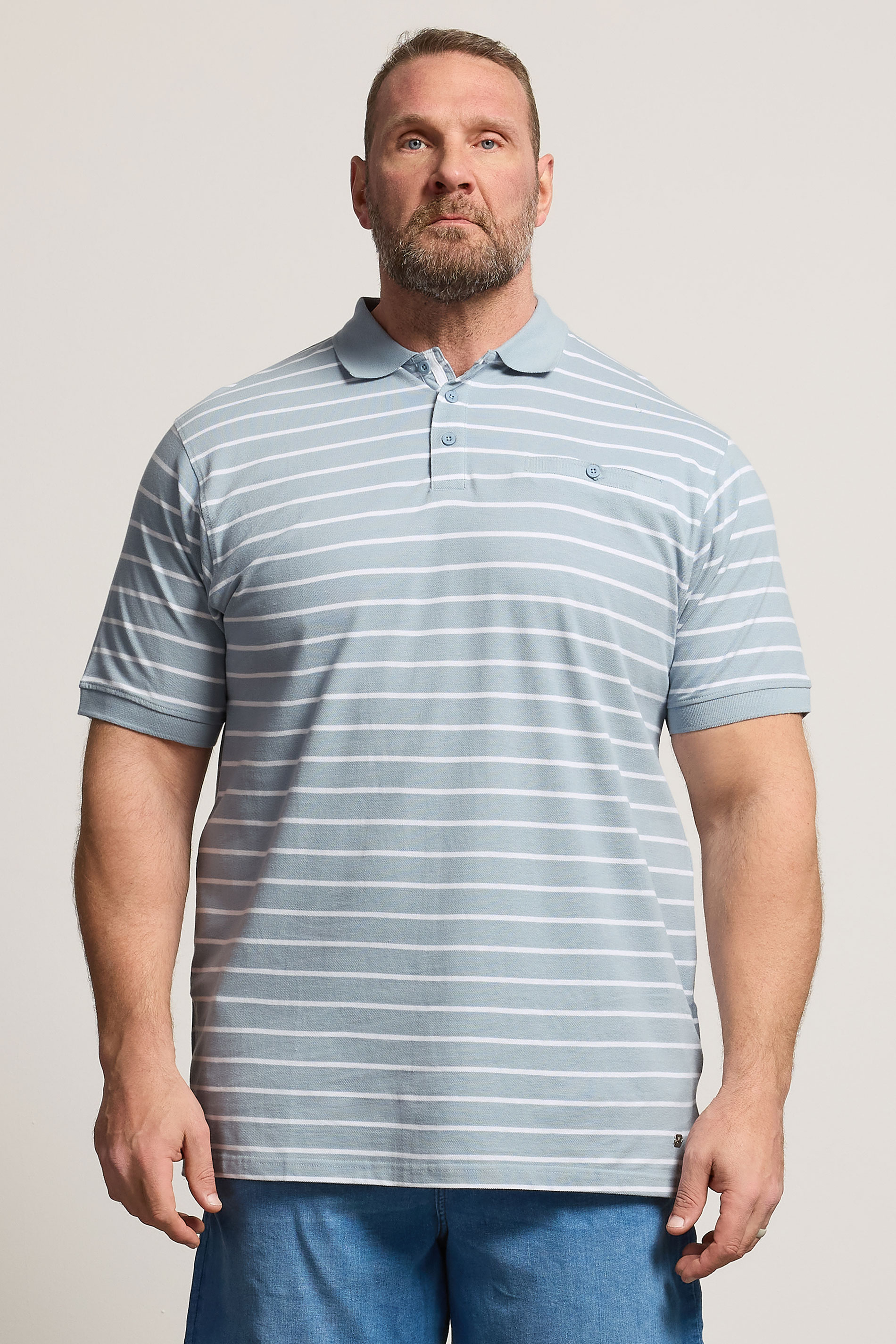 KAM Big & Tall Dusty Blue Stripe Print Polo Shirt | BadRhino 3