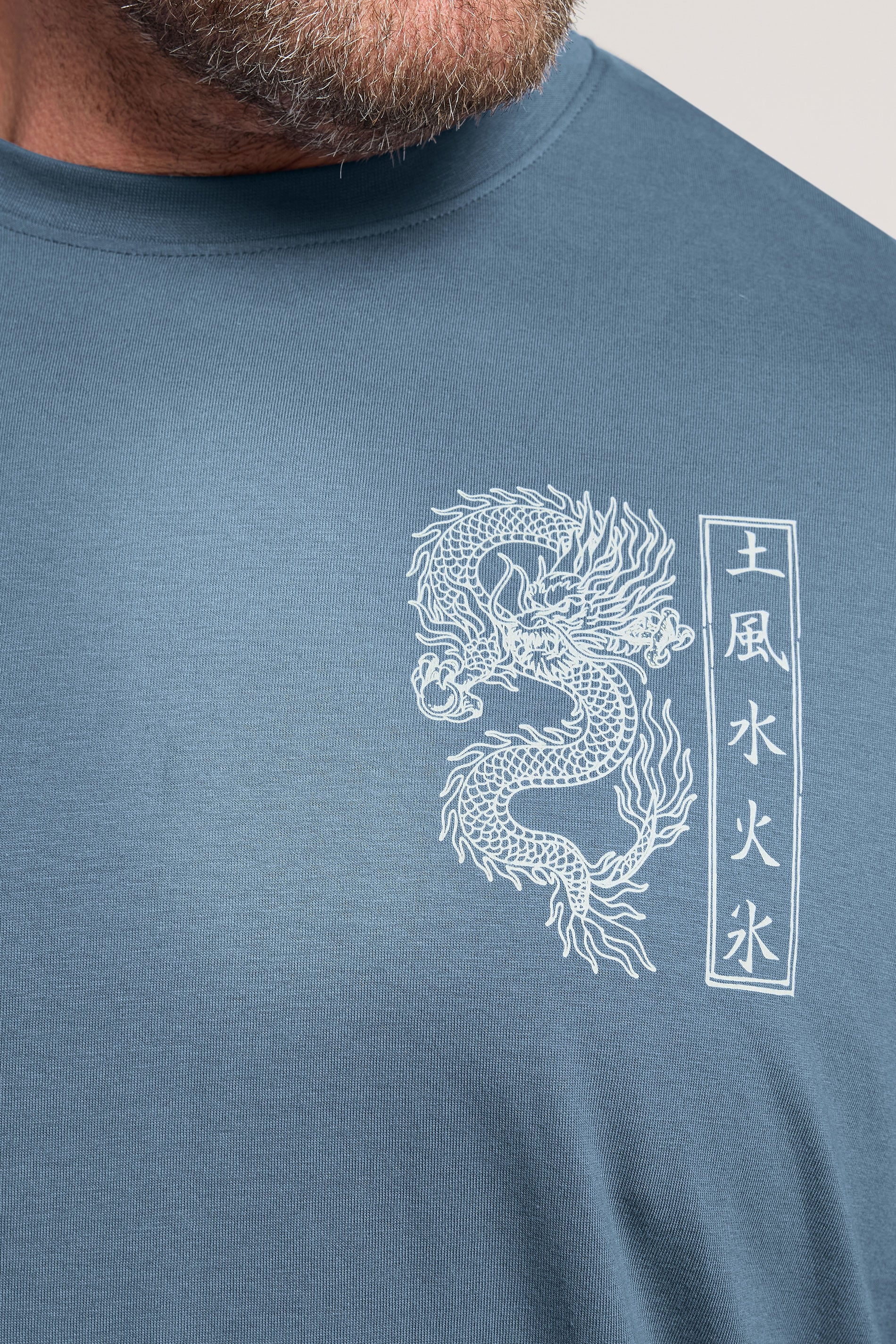 BadRhino Big & Tall Blue Dragon Graphic T-Shirt | BadRhino 7