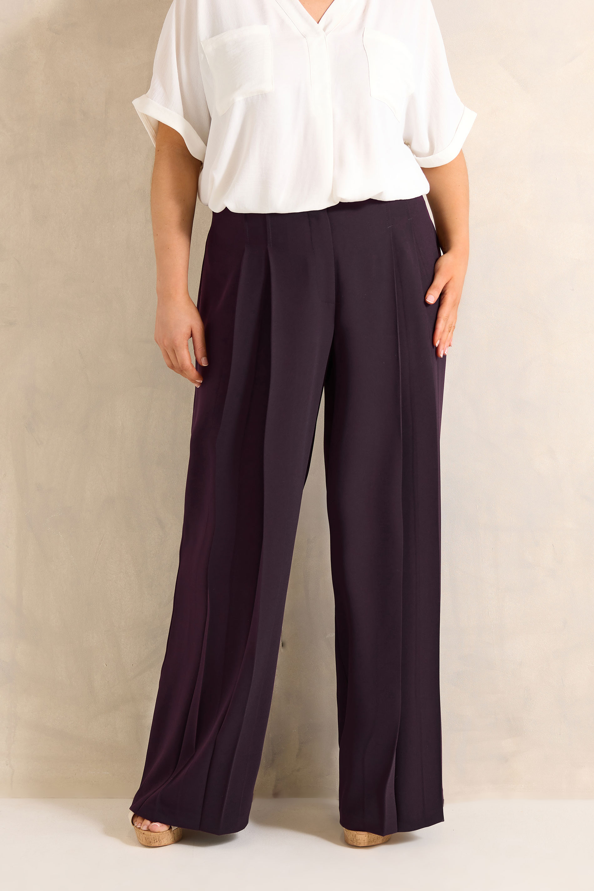 EVANS Plus Size Plum Textured Pleated Trousers | Evans 3