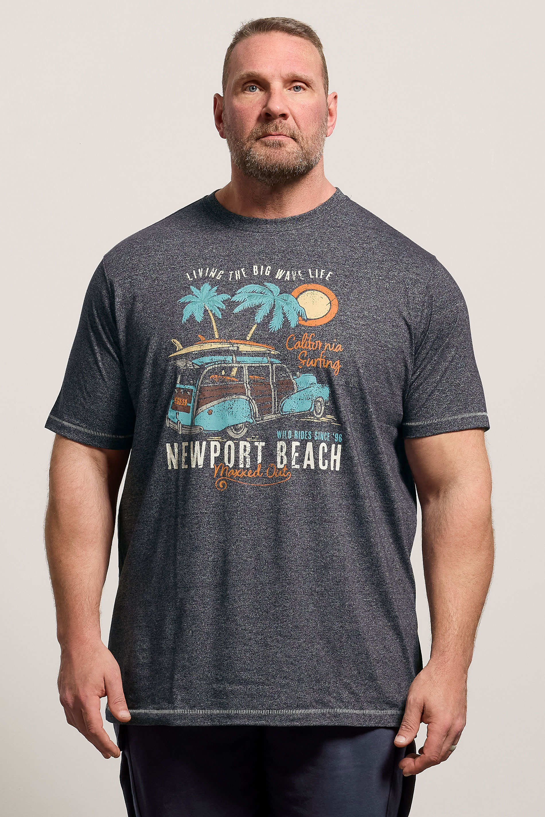 D555 Big & Tall Grey Beach Graphic T-Shirt | BadRhino 3
