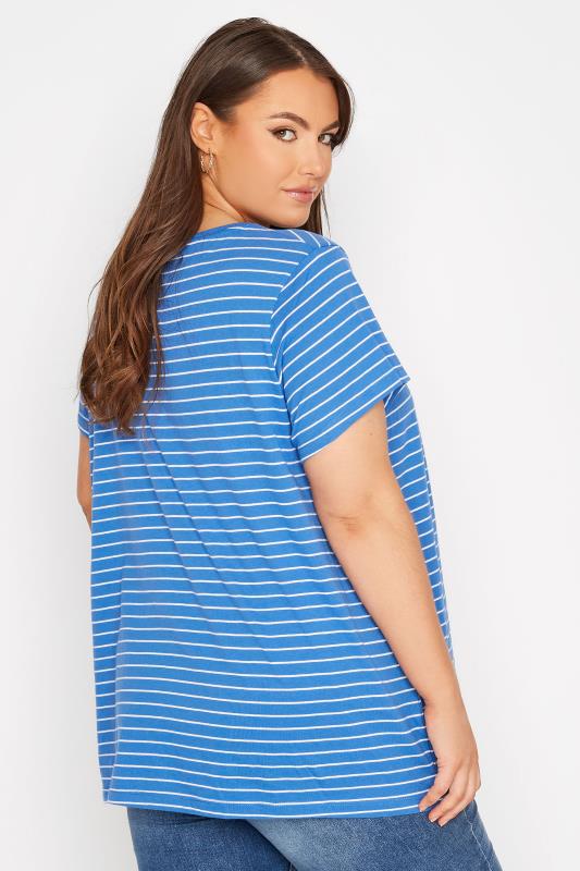 Curve Blue Stripe Short Sleeve T-Shirt 3