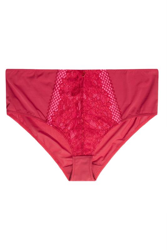 Curve Red Lace Full Briefs_F.jpg