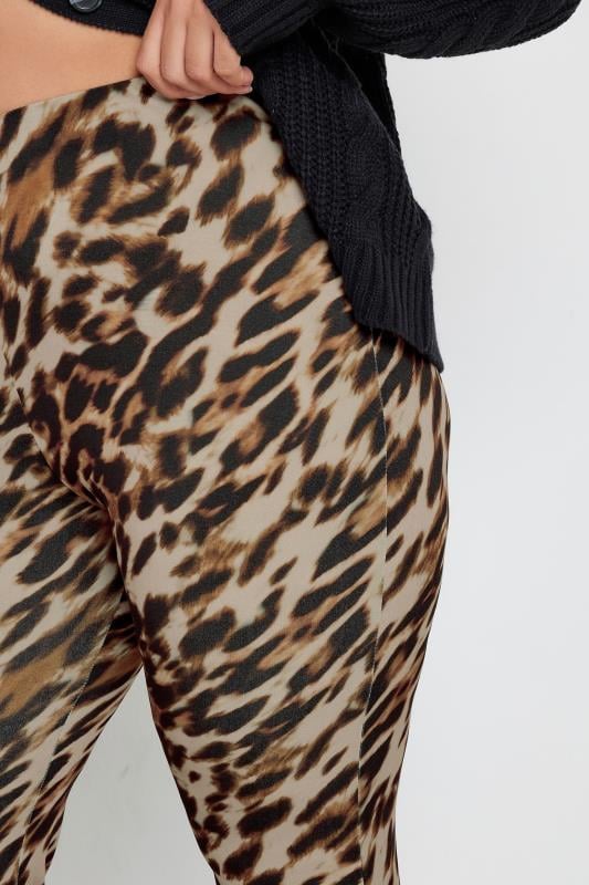 LIMITED COLLECTION Plus Size Brown Leopard Print Flared Trousers | Yours Clothing 6