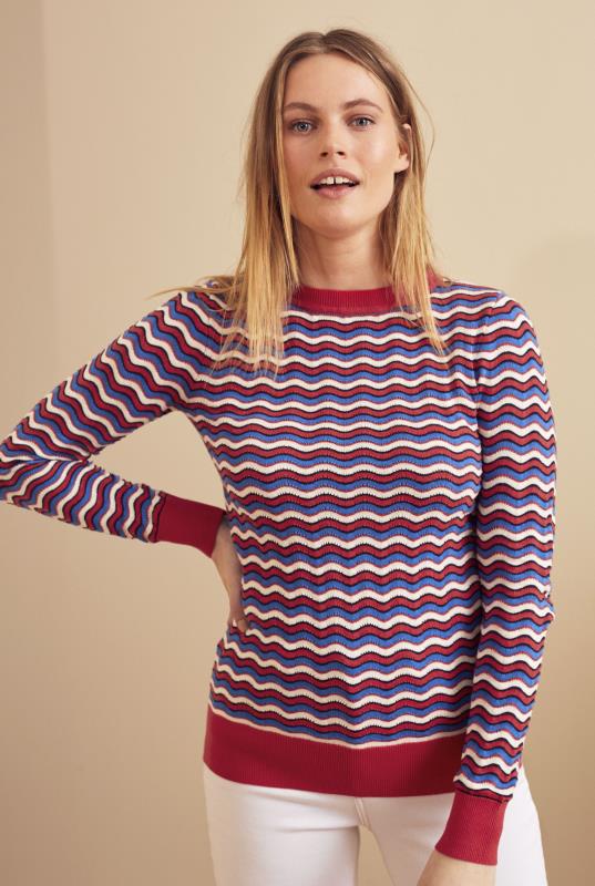Stitch Detail Stripe Sweater | Long Tall Sally