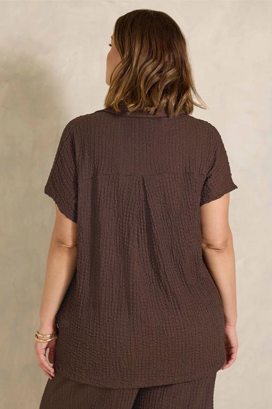 EVANS Plus Size Chocolate Brown Crinkle Short Sleeve Top | Evans 2