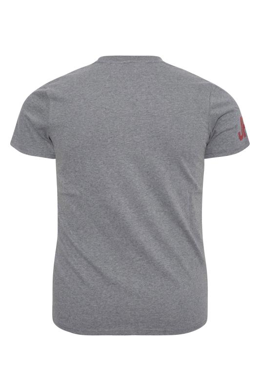 SUPERDRY Big & Tall Grey Washed Logo T-Shirt 2