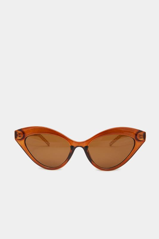 Brown Cat Eye Sunglasses 2