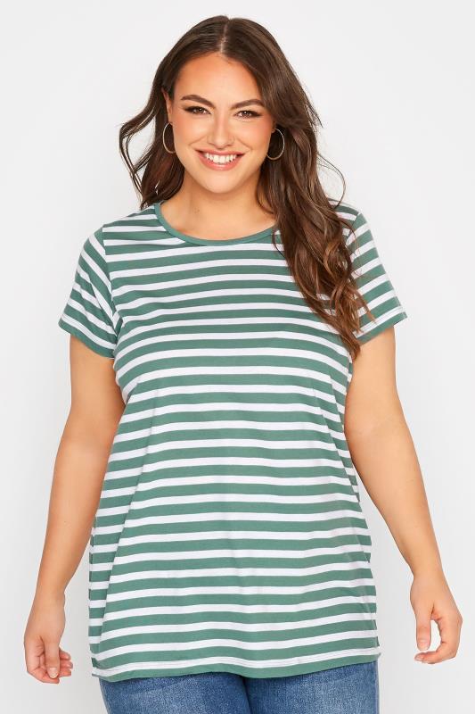 3 PACK Plus Size Sage Green & White & Stripe T-Shirts | Yours Clothing 2