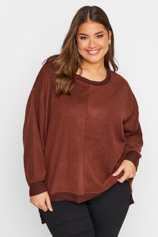 Plus Size  Curve Brown Soft Touch Fleece Sweatshirt
