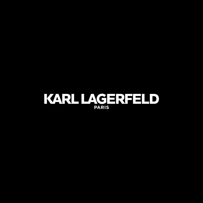 karl lagerfeld paris destine flat shoes