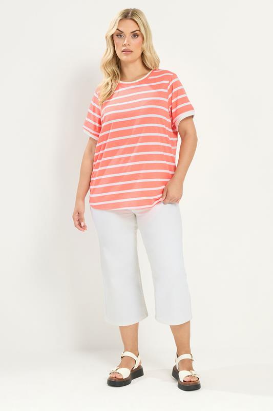 YOURS Plus Size Orange Stripe Ringer T-Shirt | Yours Clothing 1