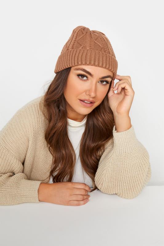 Brown Cable Knitted Beanie Hat_M.jpg