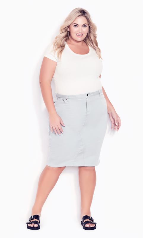 Plus Size  Avenue Blue Reese Stretch Skirt