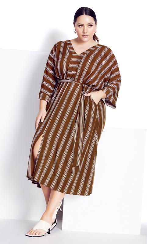Evans Brown Casablanca Stripe Dress 3