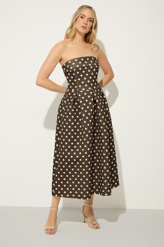 LTS Tall Women's Chocolate Brown Bandeau Polka Dot Pleated Midi Dress | Long Tall Sally 1