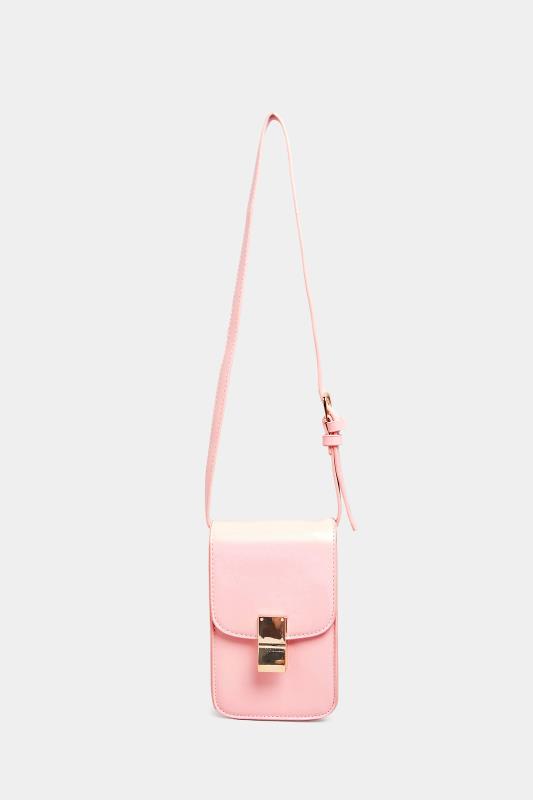 Pastel Pink Mini Clasp Detail Bag_A.jpg