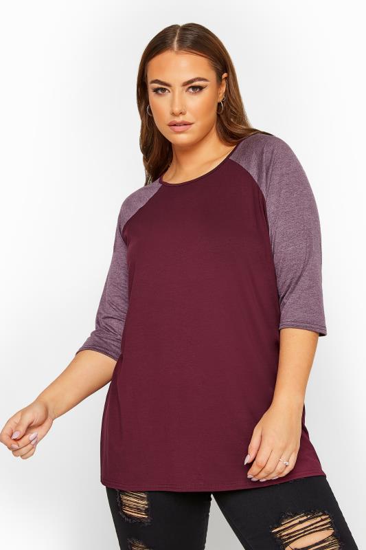 Plus Size Jersey Tops LIMITED COLLECTION Plum Raglan Sleeve Top