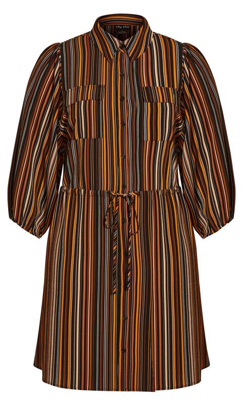 Brown Stripe Black Mini Shirt Dress 5
