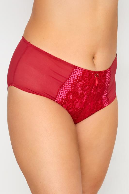 Plus Size  Curve Red Lace Full Briefs