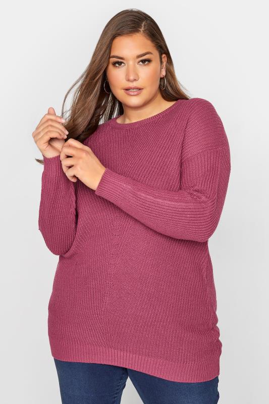 Plus Size  Curve Pink Knitted Jumper