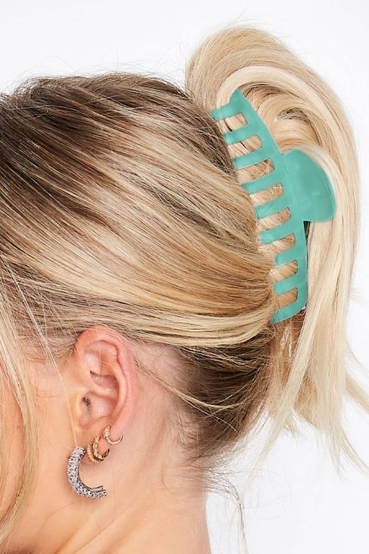 2 PACK Blue & Green Transparent Claw Clips | Yours Clothing  2